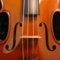 Ilovesviolin Ilovesviolin