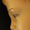 silkie_dreams silkie_dreams