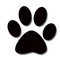 Riggy