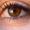 BabyBrownEyes