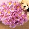 loveless_4 loveless_4