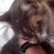 BadFairy12