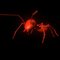 Mr_Ant