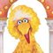 Thebigbird Thebigbird