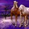 BLUEANGELEYES069 BLUEANGELEYES069