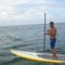 Ricosurf Ricosurf