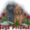 lynn_ll