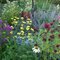 cottage_whimsies