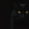 Black_Moon