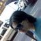 Samantha555