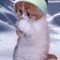 moonlight_kitty