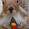 dasquirrel
