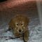 NovaScotia_31