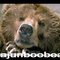 CajunBooBear
