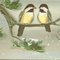 bluejay10