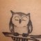 Owl27 Owl27