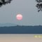 sunshine_singer_75 sunshine_singer_75