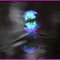 Dainty_Bubble Dainty_Bubble