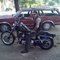 TATMAN TATMAN