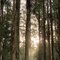 athena_27