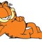 Judge-Garfield