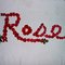 redrose2007