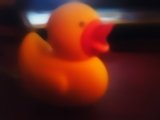 photo of Kjell