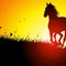 CowgirlnWranglers37