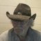 OneLostCowboy