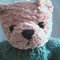 teddygold