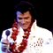 Sir-Elvis