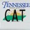 cat_n_az cat_n_az