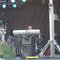 majesticsband