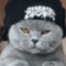 Joney