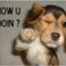 -Snoopy-