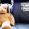 TeddyBear48
