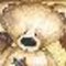 Koalabear