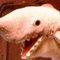 TheSharkShow