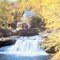 countrysinger_235