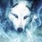 miss_wolfie