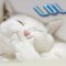 Kannika_07 Kannika_07