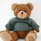 teddy_bear teddy_bear