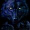 Wolfvamp