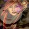 ladyhawke-