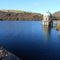 Cariad