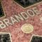 brandoe brandoe