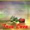 Simply_Special Simply_Special