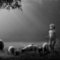 darkmoon108