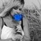 Blueroses