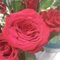 Paulinex54